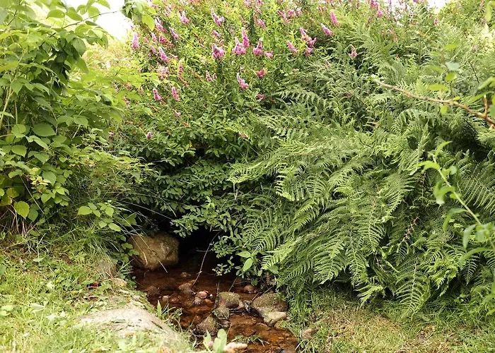 Superbe Vue Sur Le 샬레 *